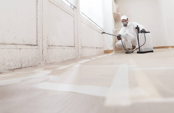 24/7 Emergency Mold Remediation experts in Surry, VA
