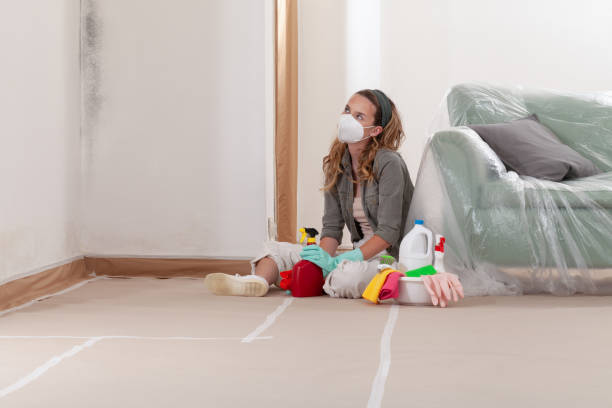 Reliable Mold Remediation contractor in Surry, VA by 24 Hour Mold Removal